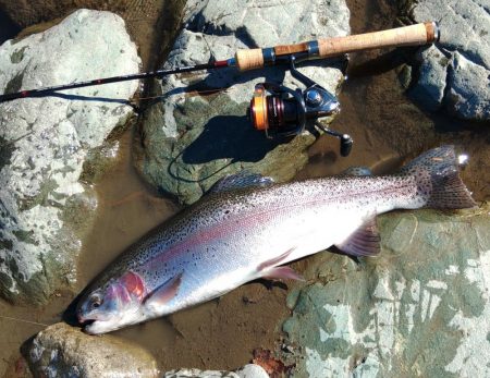 なかなか厳しい天竜川